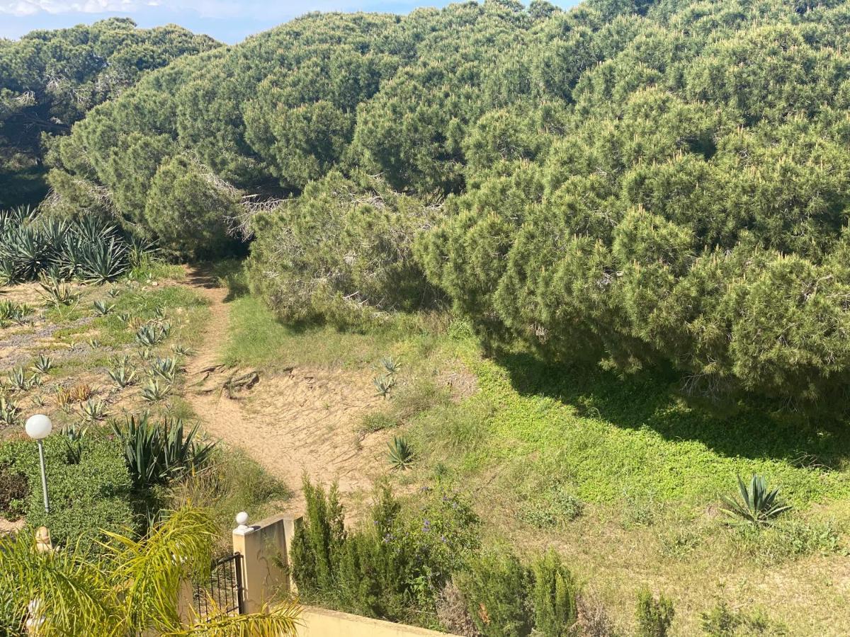 Casa De La Duna Costa Blanca La Mata  Dış mekan fotoğraf