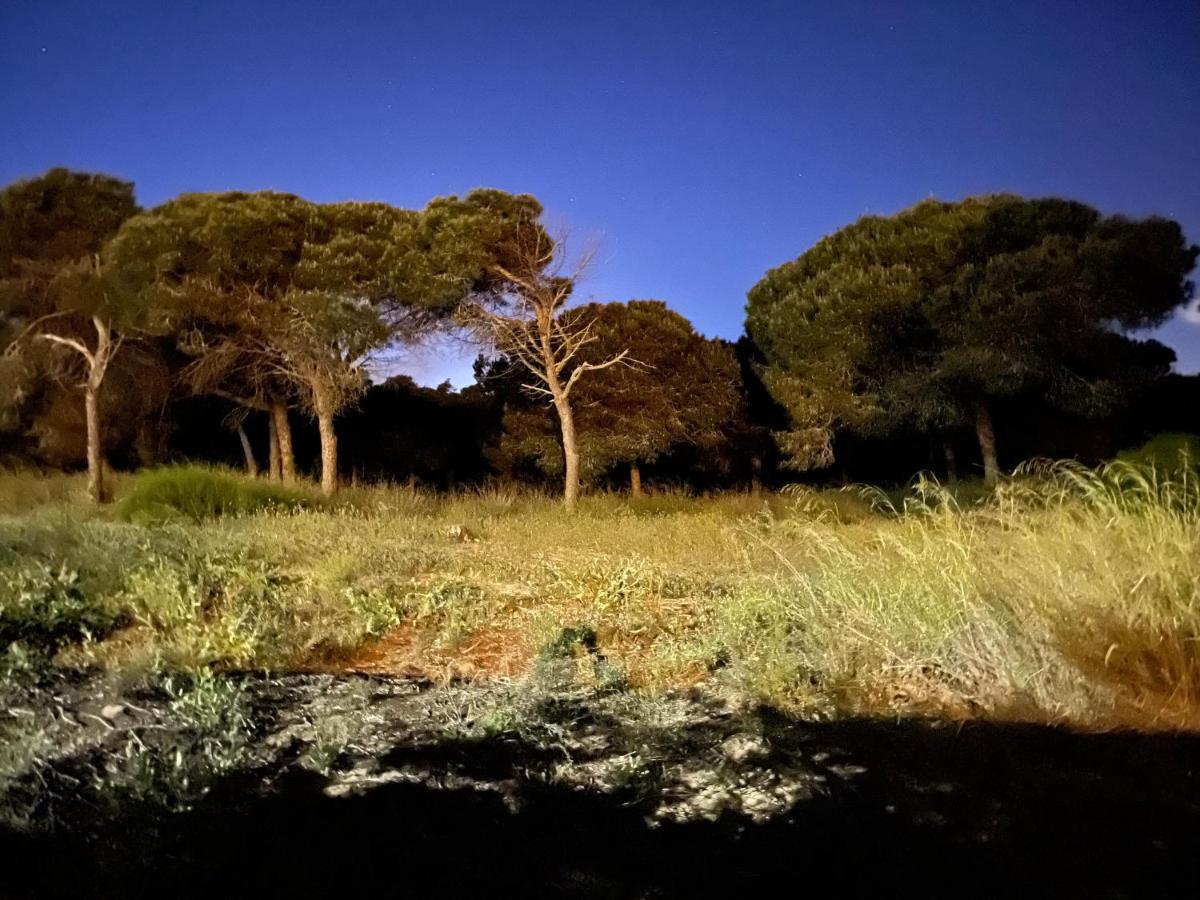 Casa De La Duna Costa Blanca La Mata  Dış mekan fotoğraf