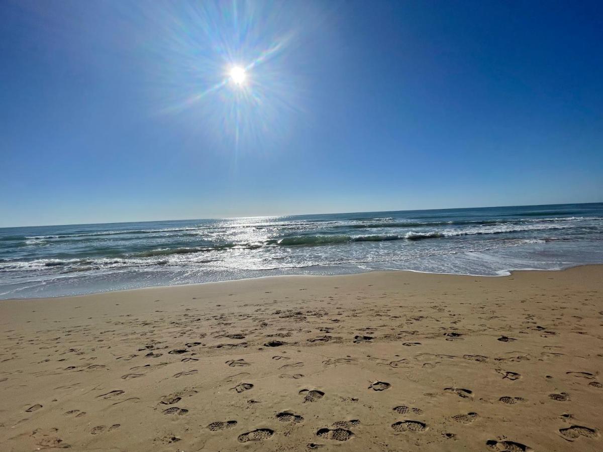 Casa De La Duna Costa Blanca La Mata  Dış mekan fotoğraf